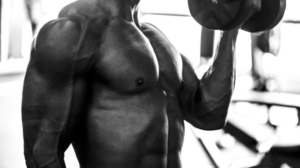 Ejercicios en el gimnasio 7 Fitness